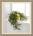 Wranovics Florist, 43021 State Highway 28, Arkville, NY 12406, (845)_586-4751